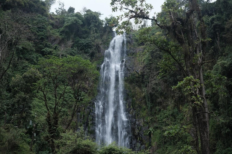 3-tägige Arusha, Tarangire und Materuni Wasserfall Tour