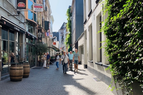 Antwerpen: Rundgang zu den Highlights der StadtTour auf Englisch