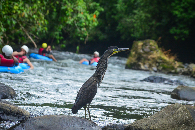 La Fortuna: White Water Tubing Tour met gids en transfers