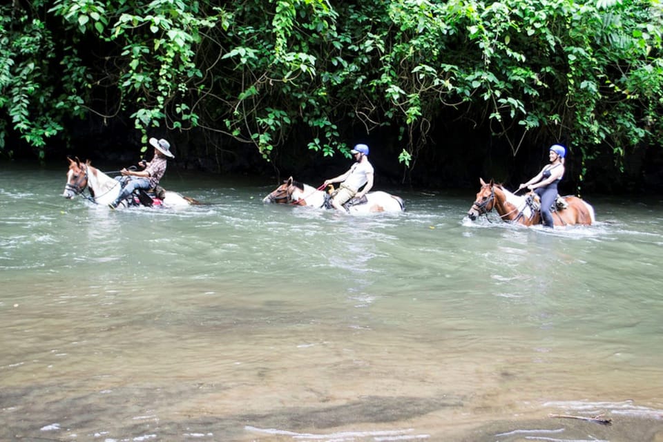 Guided Horseback Riding in La Fortuna logo