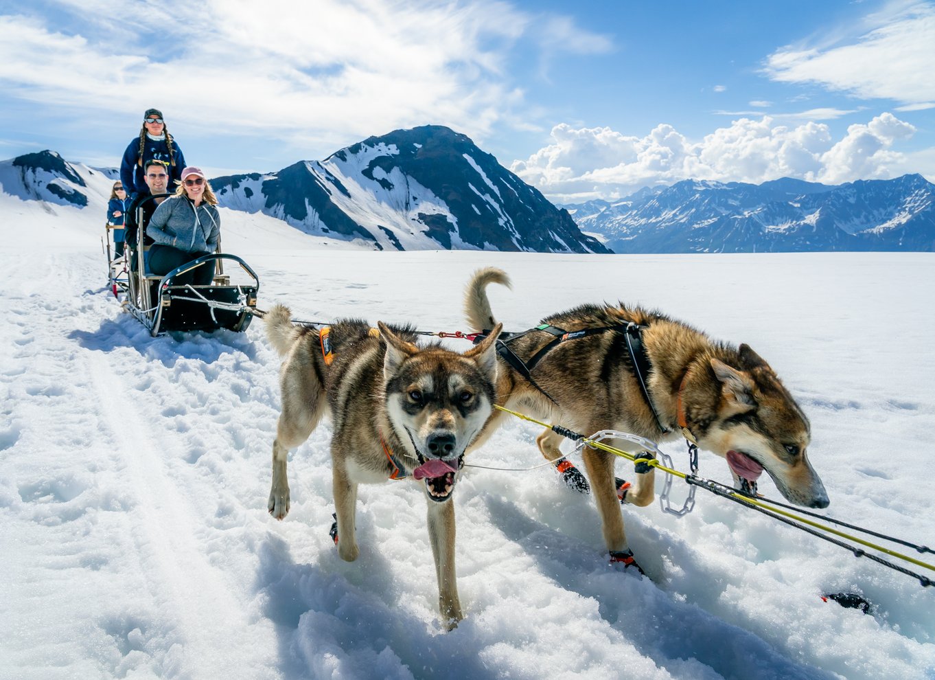 Anchorage-området: Helikopter- og gletsjerhundeslædetur