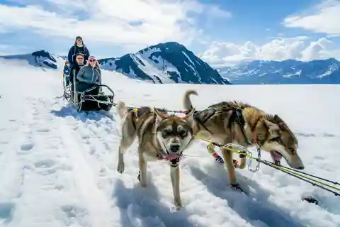 Anchorage Area: Helicopter and Glacier Dogsled Tour