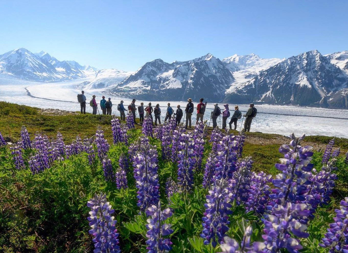Anchorage: Grand Knik Glacier Helicopter Tour med landinger