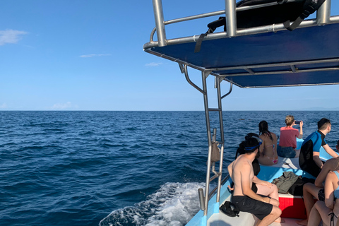 Puerto Escondido: Bootstour zu Delfinen und MeerestierenPrivate Tour