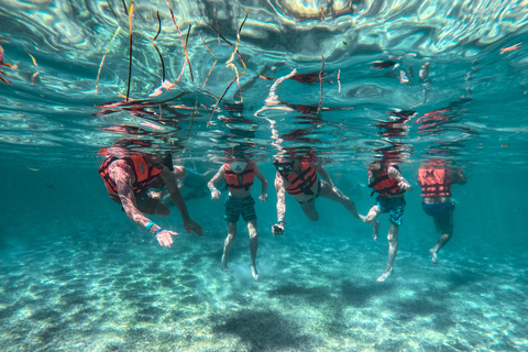 Cancun: Tulum Ruins, Akumal Turtles, Cenote & Caves Snorkel From Cancun