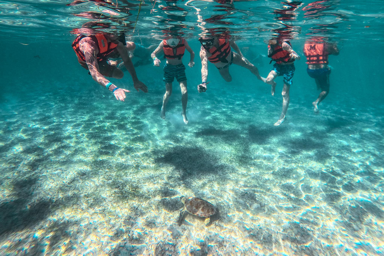 Cancun: Tulum Ruins, Akumal Turtles, Cenote & Caves Snorkel From Cancun