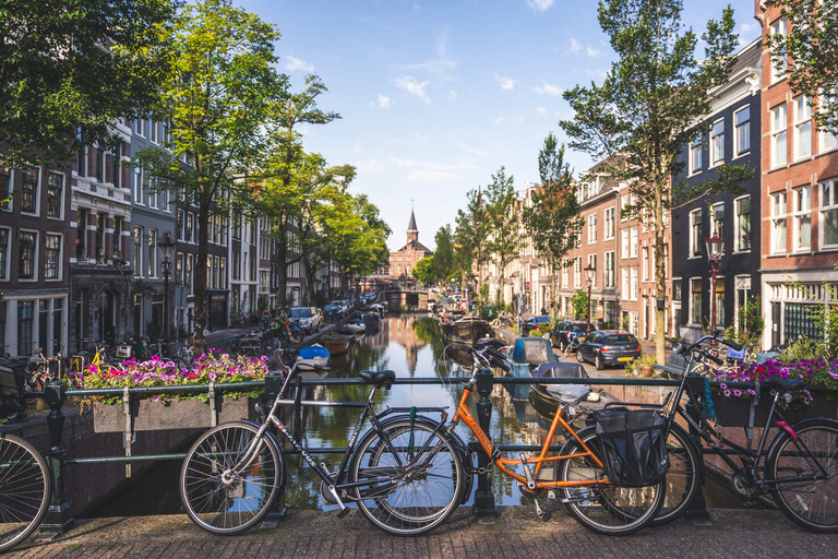 Rundvandring i Amsterdam i liten gruppVandring i Amsterdam på spanska