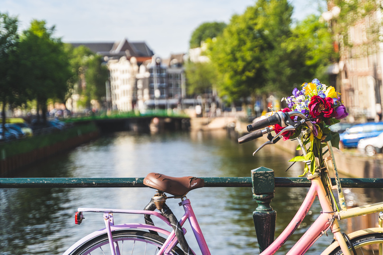 Visite en petit groupe à pied à AmsterdamAmsterdam : visite à pied en anglais