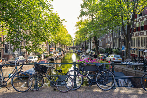 Rundvandring i Amsterdam i liten gruppVandring i Amsterdam på spanska