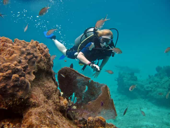 Cozumel: mergulho autônomo com um tanque e acesso total ao parque  Chankanaab | GetYourGuide