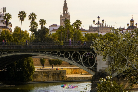 Seville walking tour (small groups) with breakfast Seville walking tour with breakfast Spanish