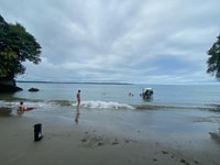Desde Cali, excursión de un día de observación de ballenas en Buenaventura - Hizvo