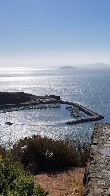 San Fransico: Muir Woods & Marin Headlands Private Tour image 3