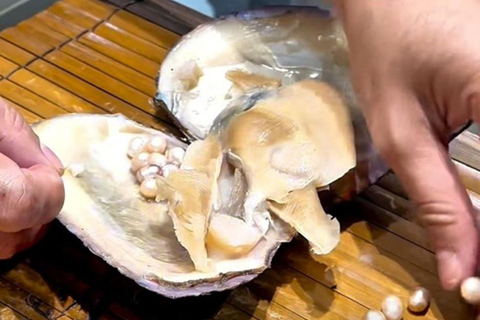 Coron: Pearl Museum Tour and Pearl Harvesting Experience Type 1 Pearl - China Pearl