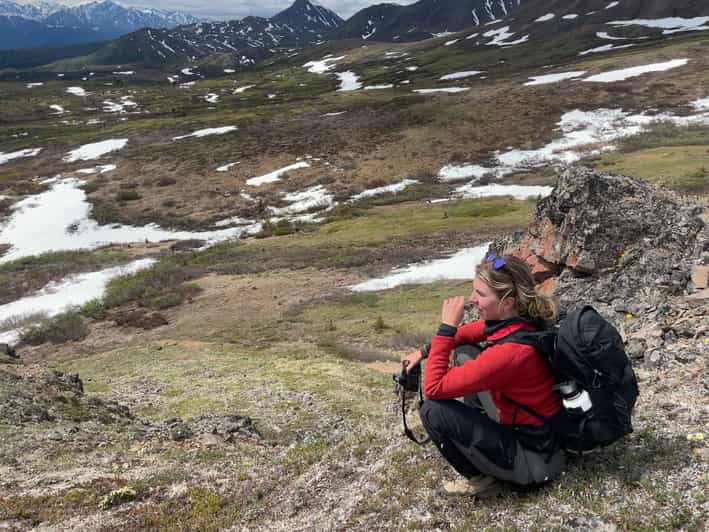 Denali: Denali National Park Walking Tour | GetYourGuide