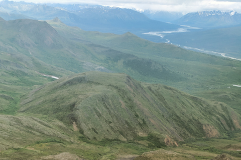 Denali: 5-Hour Guided Wilderness Hiking Tour Denali 4-Hour Hiking Tour