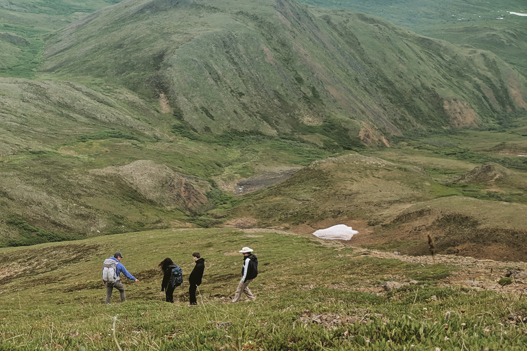 Denali: 5-Hour Guided Wilderness Hiking Tour Denali 4-Hour Hiking Tour