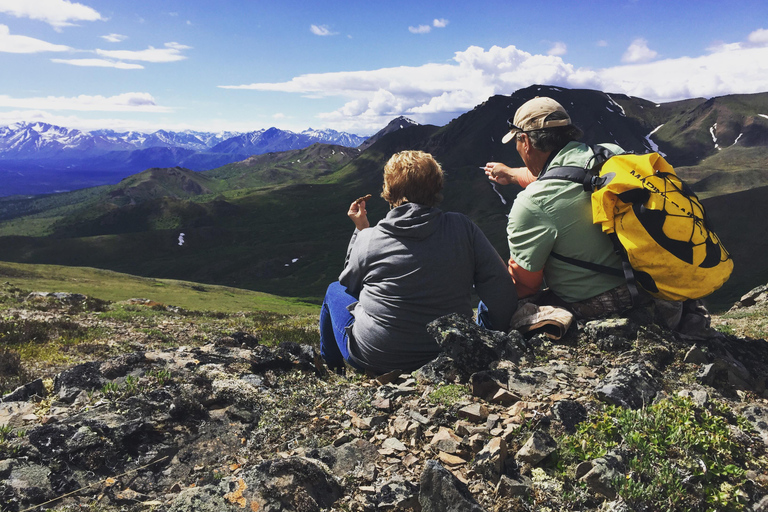 Denali: 5-Hour Guided Wilderness Hiking Tour Denali 4-Hour Hiking Tour