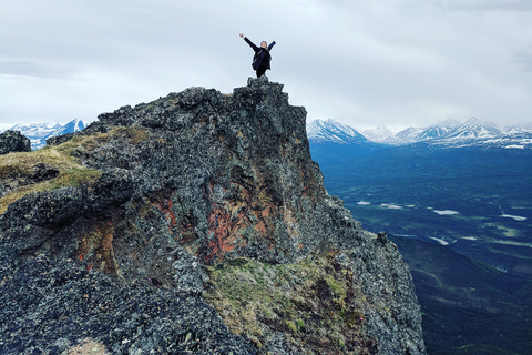 Denali: 5-Hour Guided Wilderness Hiking Tour Denali 4-Hour Hiking Tour