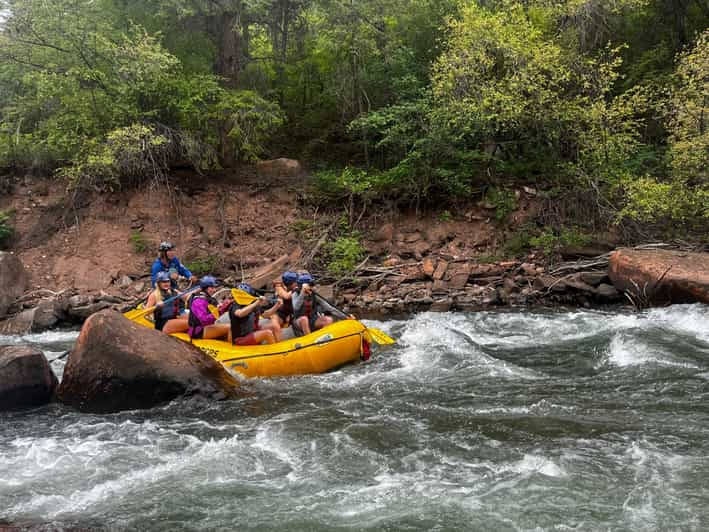 Telluride: Half-Day Rafting on the San Miguel River | GetYourGuide