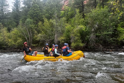 Telluride: Half Day Rafting on the San Miguel River