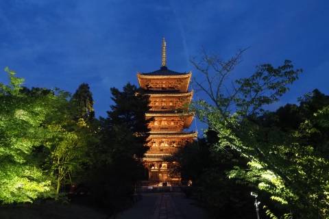 Kioto: świątynia Ninna-ji z pałacem Goten i biletem do ogroduOmuro Hana Matsuri (Festiwal Kwitnącej Wiśni)
