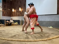 Tokyo, Sumo Experience e Chanko Nabe Lunch - Hizvo