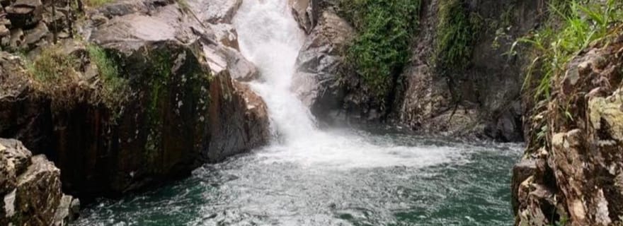 Mackay : Randonnée, baignade et aventure de l'ornithorynque dans les gorges de Finch Hatton