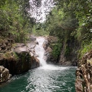 Mackay: Finch Hatton Gorge Hike, Swim & Platypus Adventure Mackay: Finch Hatton Gorge Hike, Swim & Platypus Adventure