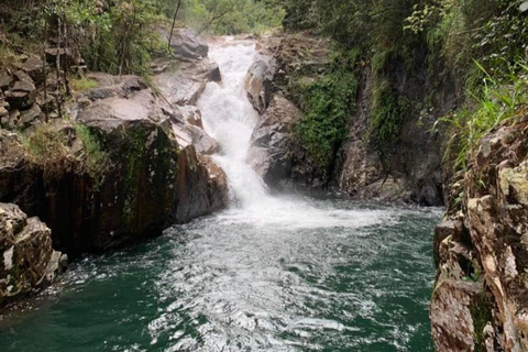 Mackay: Finch Hatton Gorge Hike, Swim & Platypus Adventure