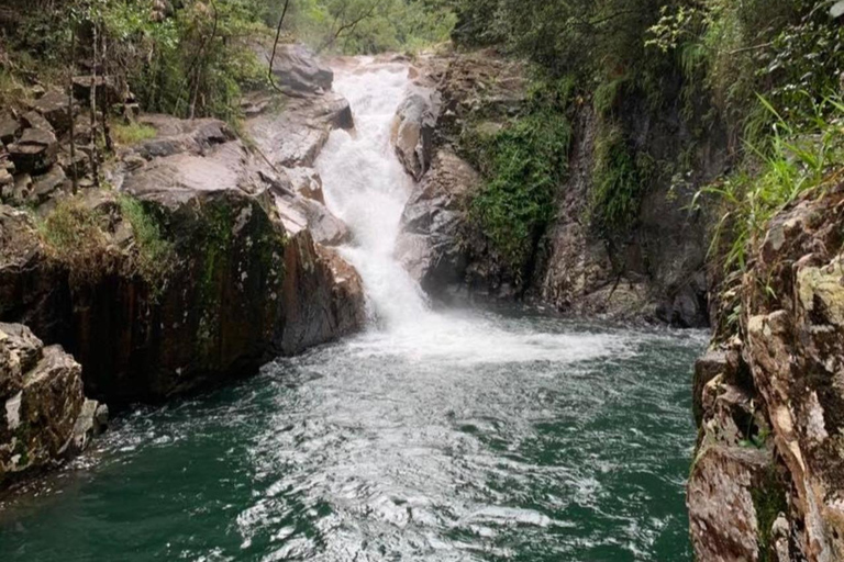 Mackay: Finch Hatton Gorge Hike, Swim & Platypus Adventure