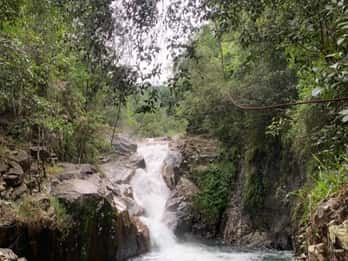 Mackay: Finch Hatton Gorge Hike, Swim & Platypus Adventure