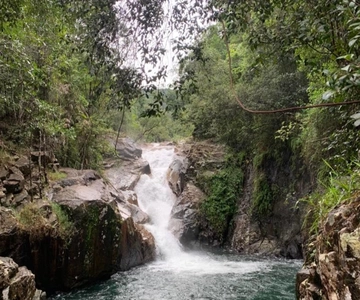 Mackay: Finch Hatton Gorge Hike, Swim & Platypus Adventure