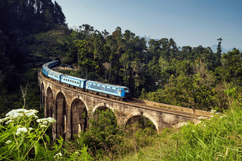 Ambewela to Ella: Scenic Train Ride for Photography Lovers Ambewela to Ella: Scenic Train Ride in 3rd Class cabin
