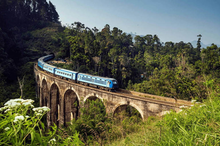 Ambewela to Ella: Scenic Train Ride for Photography Lovers Ambewela to Ella: Scenic Train Ride in 3rd Class cabin
