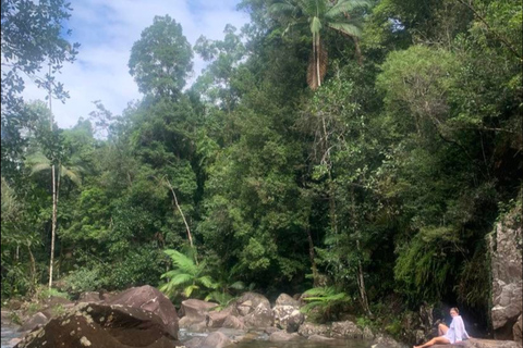 Mackay: Finch Hatton Gorge Hike, Swim & Platypus Adventure