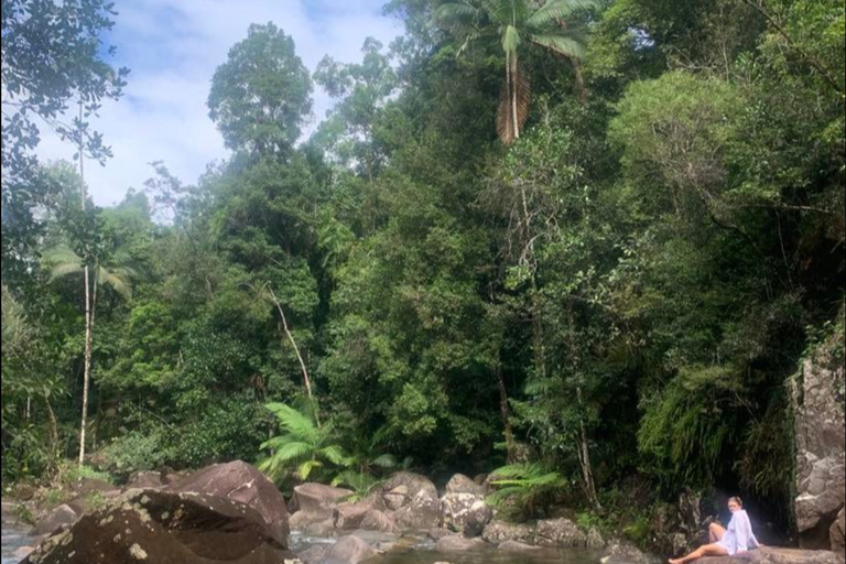 Mackay: Finch Hatton Gorge Hike, Swim & Platypus Adventure