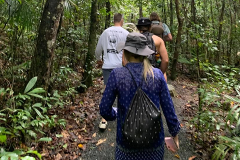 Mackay: Finch Hatton Gorge Hike, Swim & Platypus Adventure