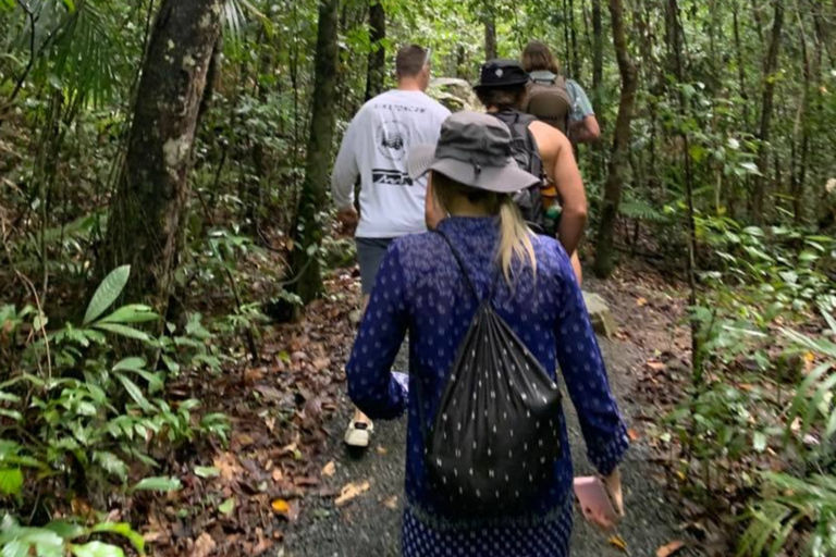 Mackay: Finch Hatton Gorge Hike, Swim & Platypus Adventure