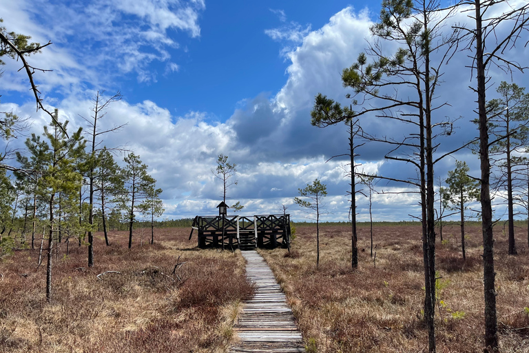 Dzukija nationalpark och Grutas park: DagsutflyktHelagstur till Dzūkija nationalpark och Grūtasparken