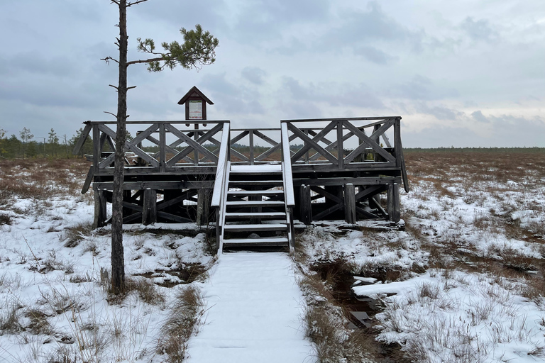 Dzukija nationalpark och Grutas park: DagsutflyktHelagstur till Dzūkija nationalpark och Grūtasparken