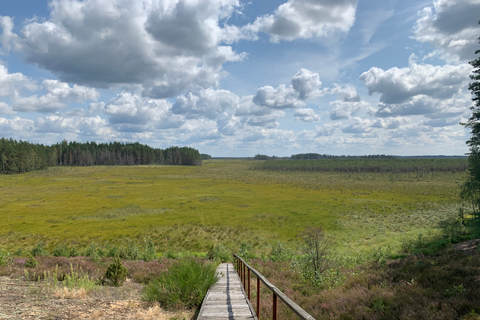 Dzukija nationalpark och Grutas park: DagsutflyktHelagstur till Dzūkija nationalpark och Grūtasparken