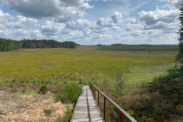 Dzukija nationalpark och Grutas park: DagsutflyktHelagstur till Dzūkija nationalpark och Grūtasparken