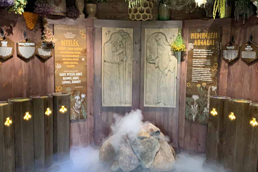 Von Vilnius zum Aukstaitija-Nationalpark: Ganztagestour. Foto: GetYourGuide