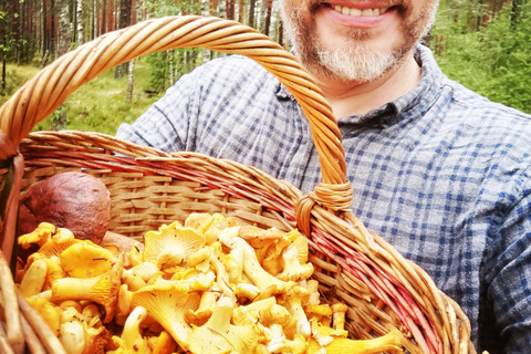 Pilzsammeln in den Wäldern bei Riga