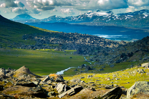 Van Abisko: rondleiding Kärkevagge-vallei en Trollsjön-meer