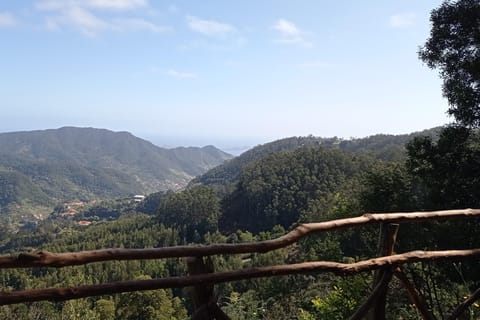 Half-Day Country Market Tour on Madeira Island