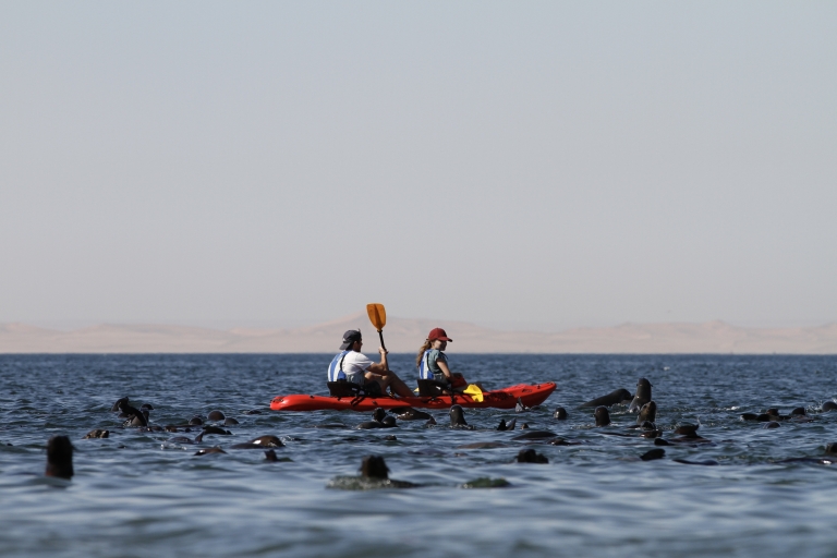 Experiencia en kayak con barbacoa en la playa