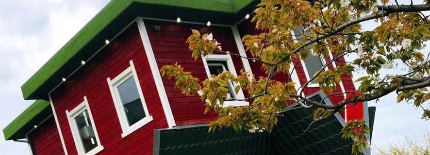 Upside Down House UK | GetYourGuide Supplier