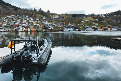 Da Norheimsund: Hardangerfjord e Fyksesund Tour dei fiordi in RIBDa Norheimsund: Hardangerfjord e Fyksesund RIB Fjord Tour